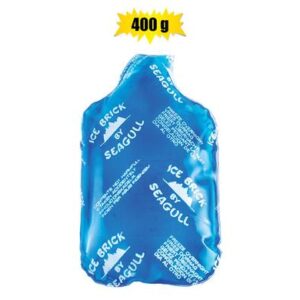 Seagull Ice-brick Plastic Clear Medium 400g