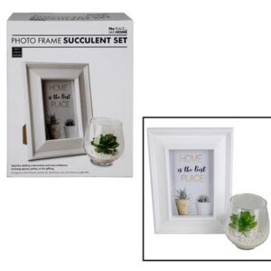 Frame & Succulent Set Glass 17 x 2 x 22cm
