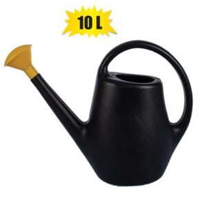 Watering-can Plastic 10l with Rose