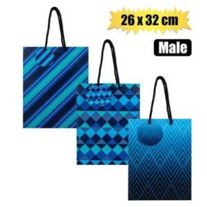 Gift-bag Paper Large 26 x 32cm Every Male