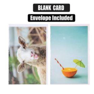 Greeting Card & Envelope Blanks