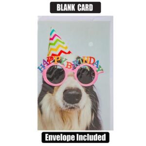 Greeting Card & Envelope Humour (1)