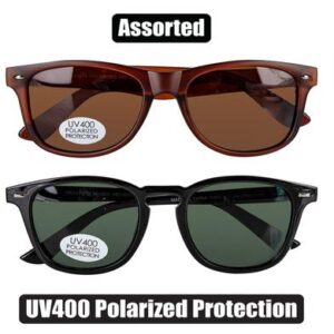 Sunglass Pol/unisex Classic Wayfarer