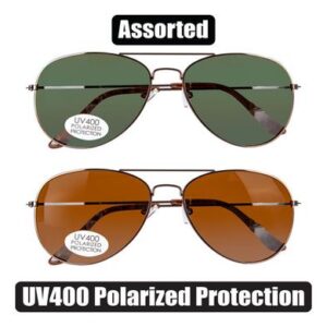 Sunglass Pol/unisex Classic Aviator
