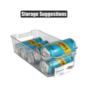 Organiser Tray Clear 31 x 15 x 9cm