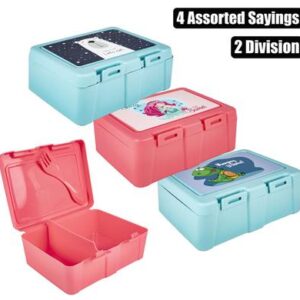 Lunch Box 2 Division with Spork