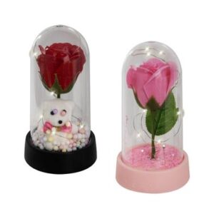 Ornament Occasion Love Forever Dome Assorted