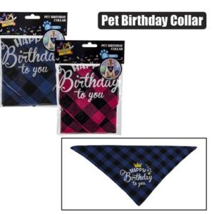 Pet Birthday Collar (Dress-Up)