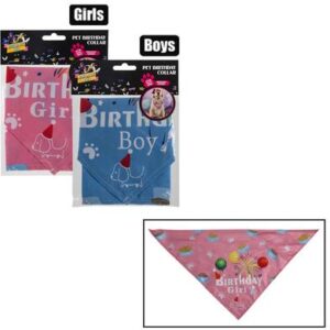 Pet Birthday Collar (Dress-Up) (Style 2)