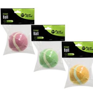 Century Ball Cricket Practice