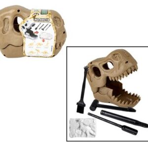 Educational Excavation Dinosaur Fossil in Skull