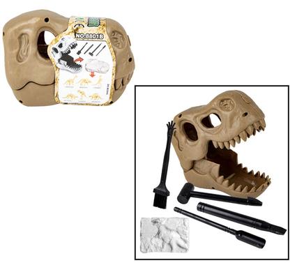 Educational Excavation Dinosaur Fossil in Skull
